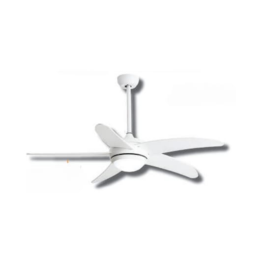 Ceiling Fans
