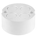 20MM PVC Loop-in Box 4Way B305